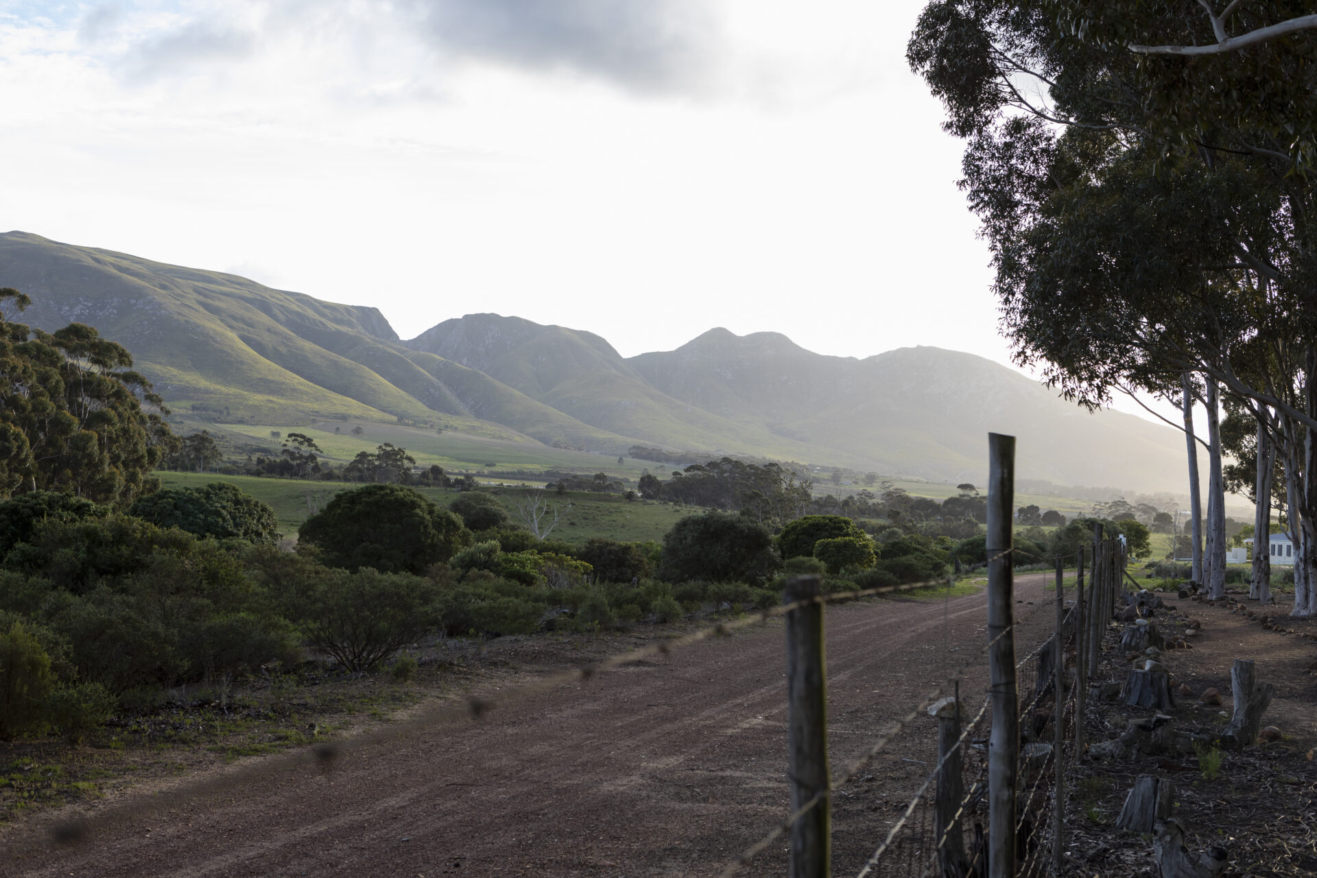 nature reserve and walking trail 2022 03 04 02 45 51 utc