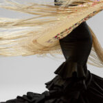 passionate and elgant flamenco dancer