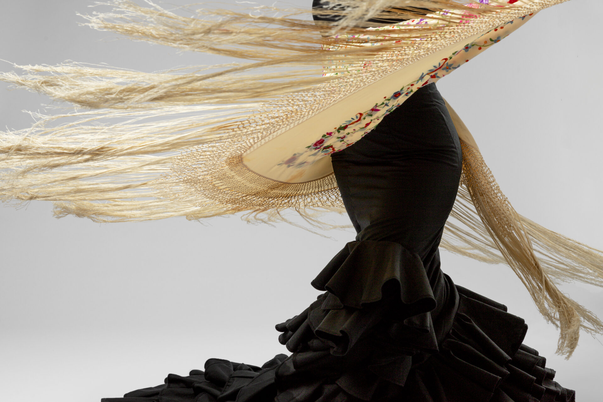 passionate and elgant flamenco dancer