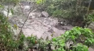 rio negro