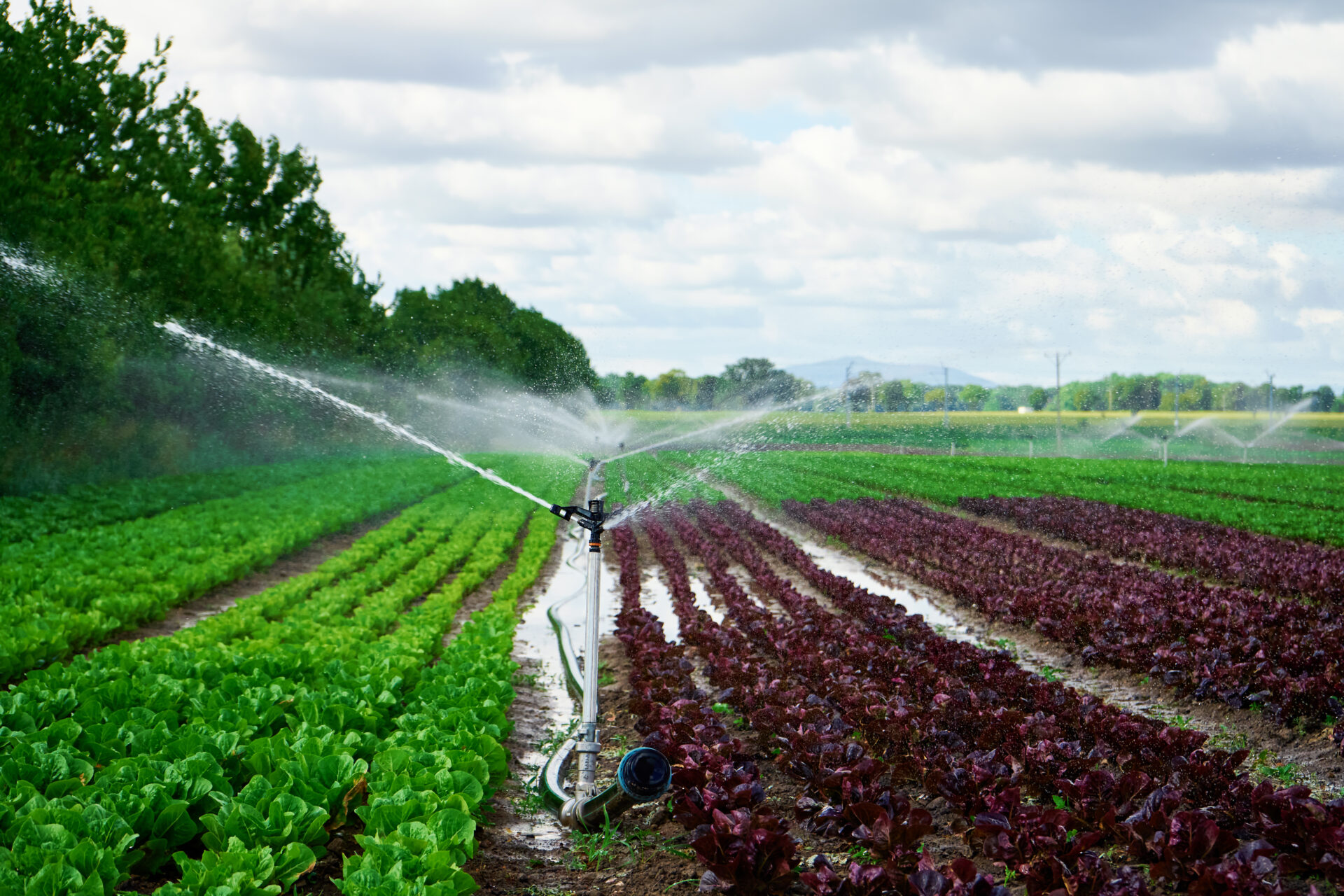 sprinkler of irrigation system at field 2022 10 27 23 11 27 utc
