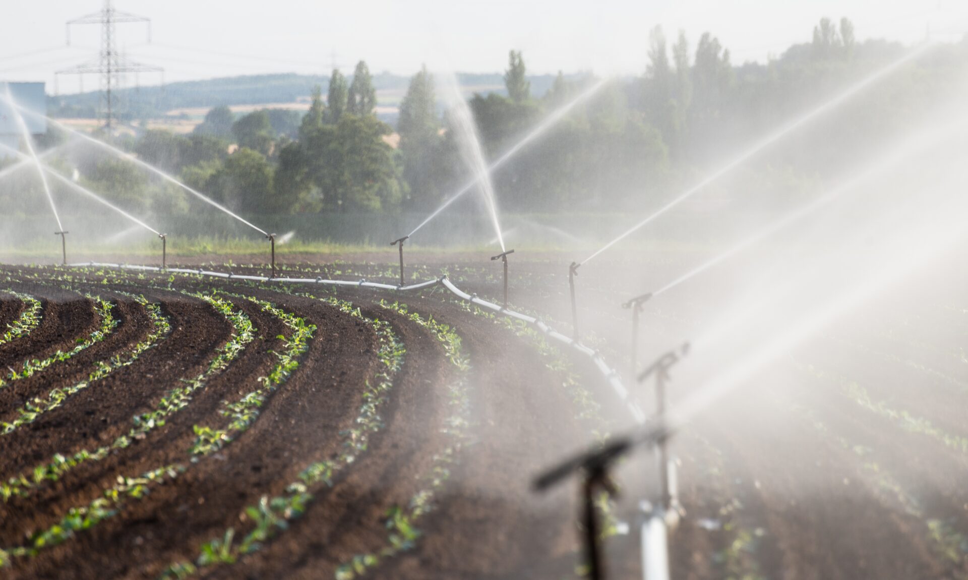 watering crops in western germany with irrigation 2022 11 10 18 01 18 utc