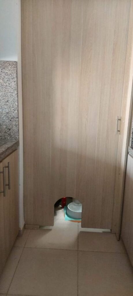 FB IMG 1670005732669