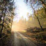 Un medio ambiente limpio y saludable es un derecho humano universal