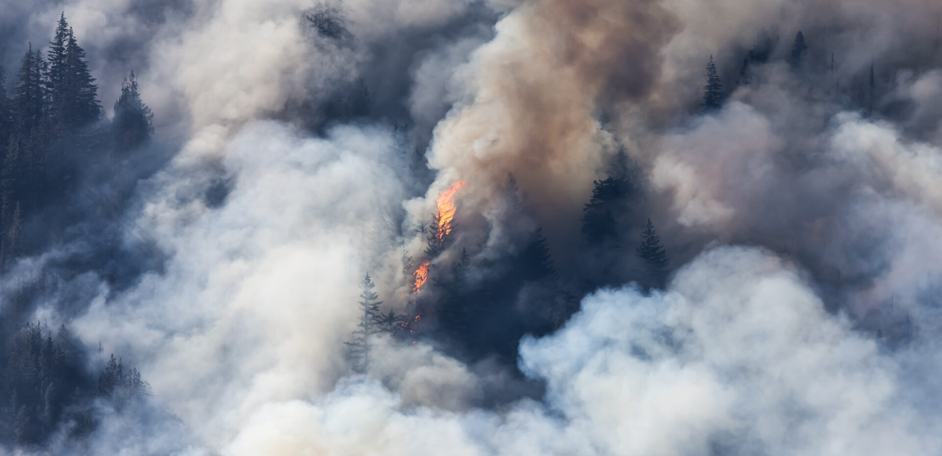 bc forest fire and smoke over the mountain near ho 2022 10 03 23 59 42 utc