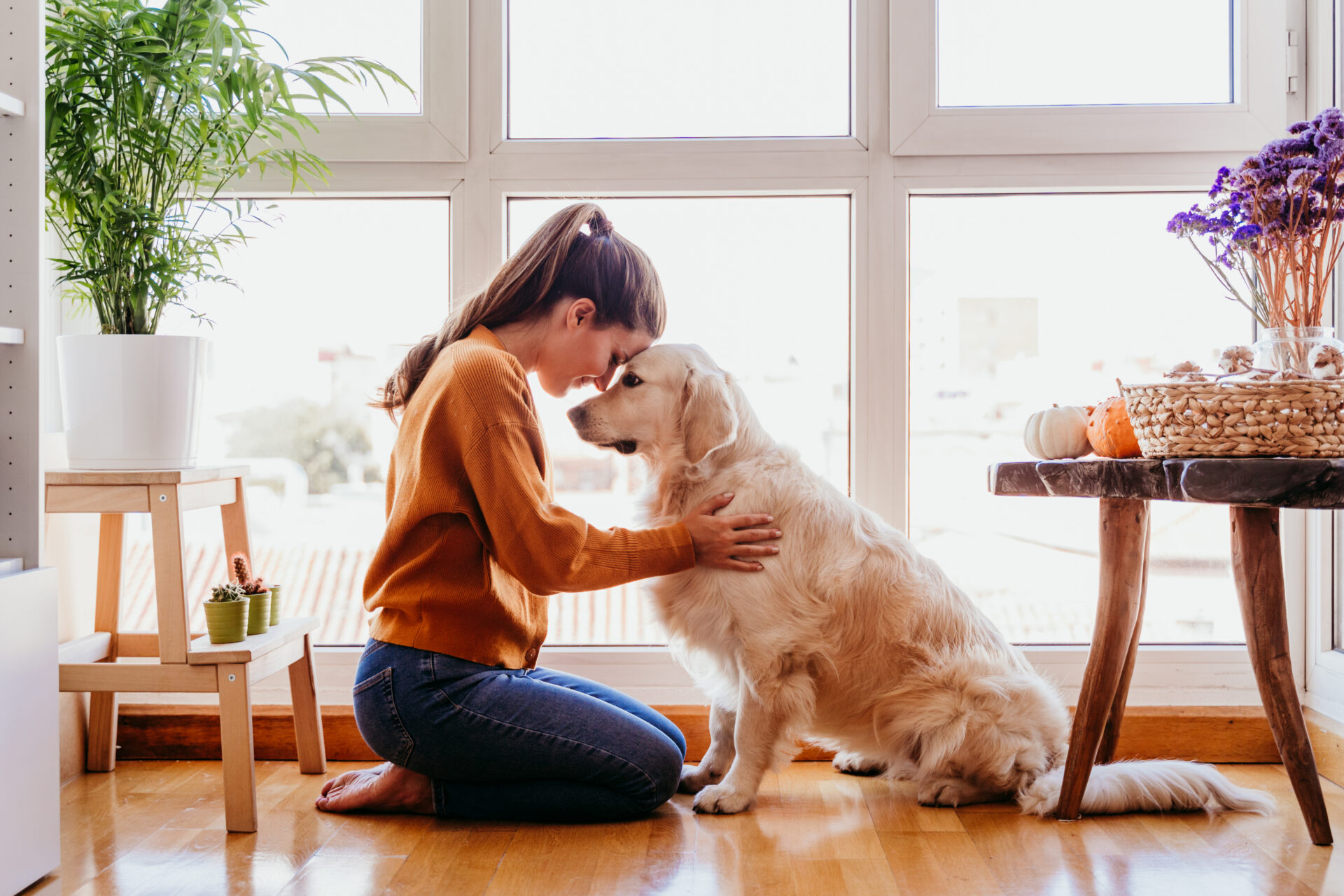 beautiful woman hugging adorable golden retriever 2022 04 01 22 13 24 utc
