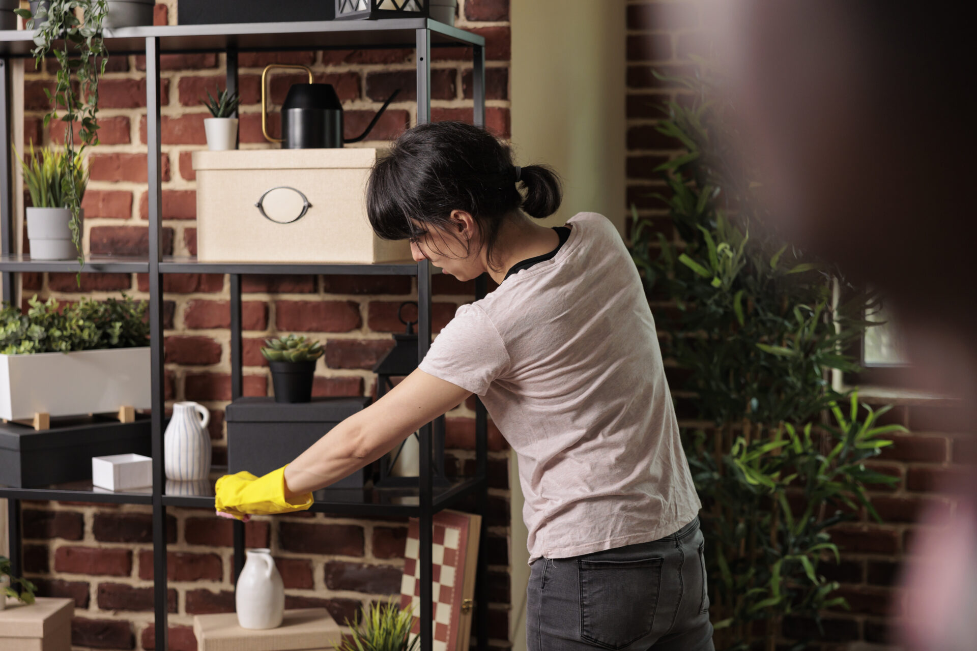 domestic employee dusting shelves in urban apartme 2022 11 09 03 22 33 utc