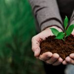 environmental conservation plant sustainability 2022 09 16 07 49 16 utc