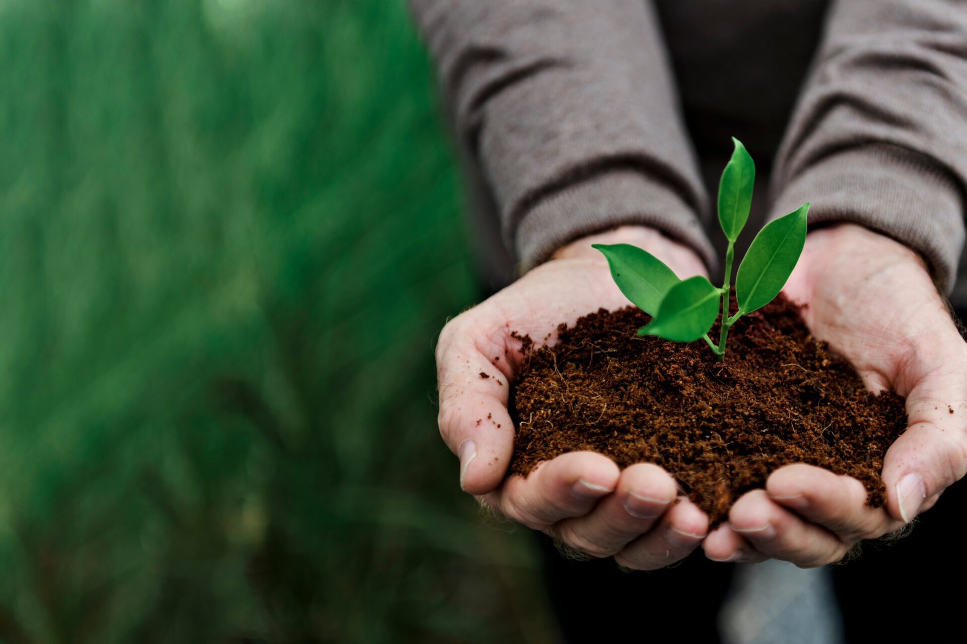 environmental conservation plant sustainability 2022 09 16 07 49 16 utc