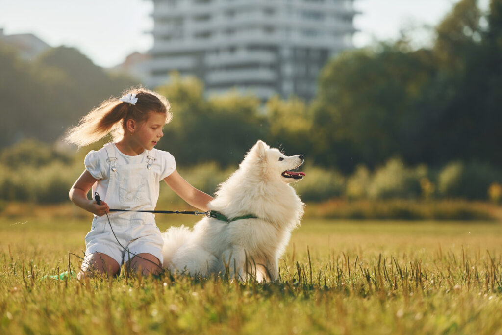 on the walk little girl with her dog is having fu 2022 01 18 23 42 41 utc