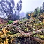 Siete municipios de Cundinamarca gravemente afectados por inundaciones y deslizamientos