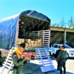 En un operativo vial se incautaron 128 bloques de madera ilegal
