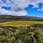 Hay que recuperar y regenerar los humedales el hogar del 40 de toda la biodiversidad