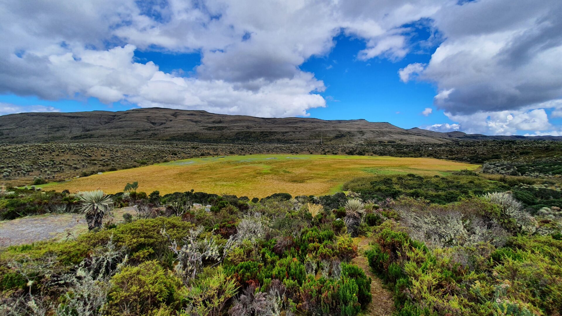 Hay que recuperar y regenerar los humedales el hogar del 40 de toda la biodiversidad