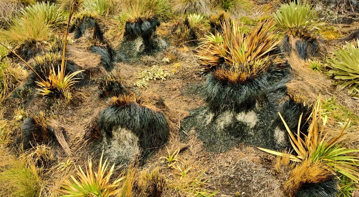 La CAR condena los ataques contra el Paramo de Rabanal en Boyaca