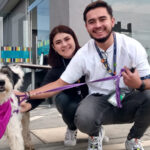 Proyecto nuevo 1 3