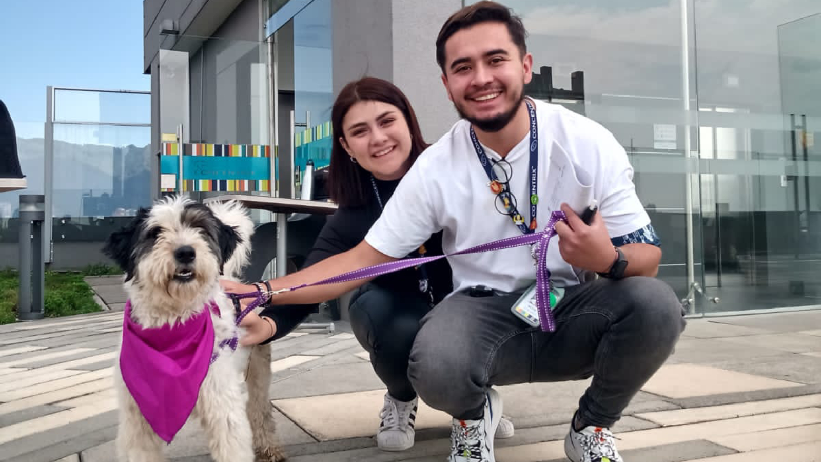 Proyecto nuevo 1 3