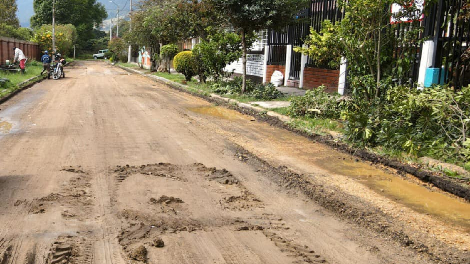 Proyecto nuevo 1 4