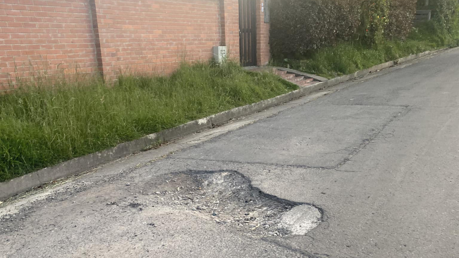 Proyecto nuevo 5