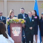Proyecto nuevo 9