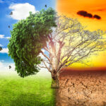 Tribunal falla a favor para que MinAmbiente desarrolle ley de gestion climatica