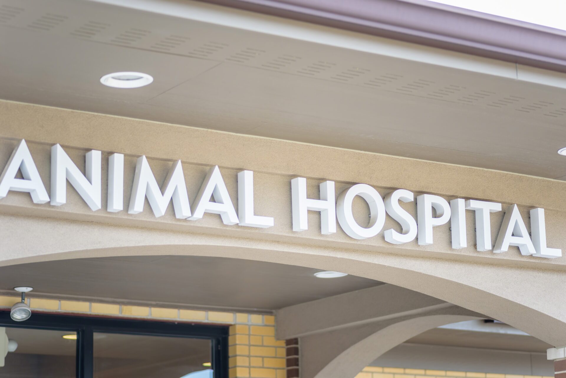 animal hospital sign 2022 11 11 07 28 58 utc