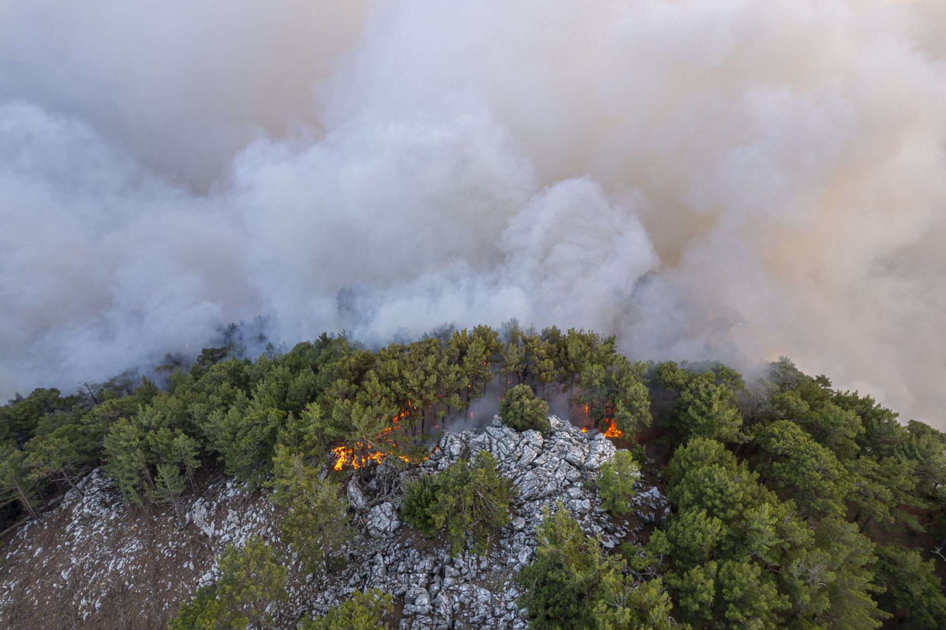 jungle fire 2022 12 07 01 21 10 utc