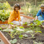man and woman mulch vegetable bed at home garden 2022 07 14 18 59 24 utc