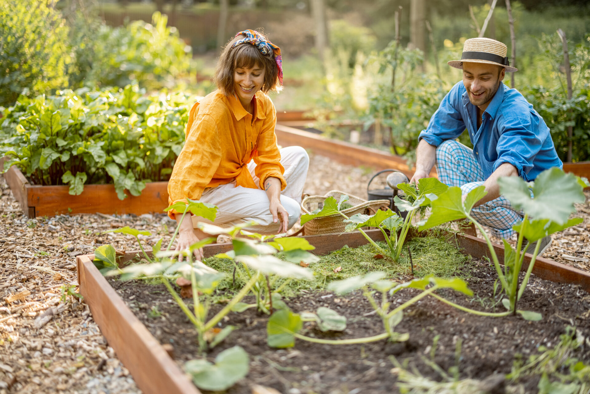 man and woman mulch vegetable bed at home garden 2022 07 14 18 59 24 utc