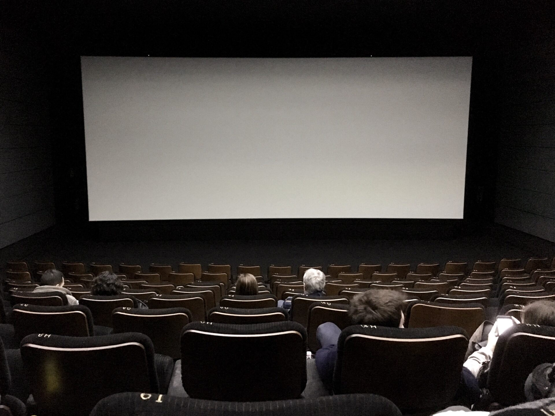 movie theatre 2022 11 02 16 33 28 utc
