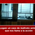 EX1 0157.00 00 00 00.Imagen fija004
