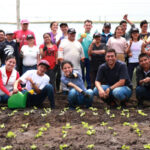 Proyecto nuevo 5