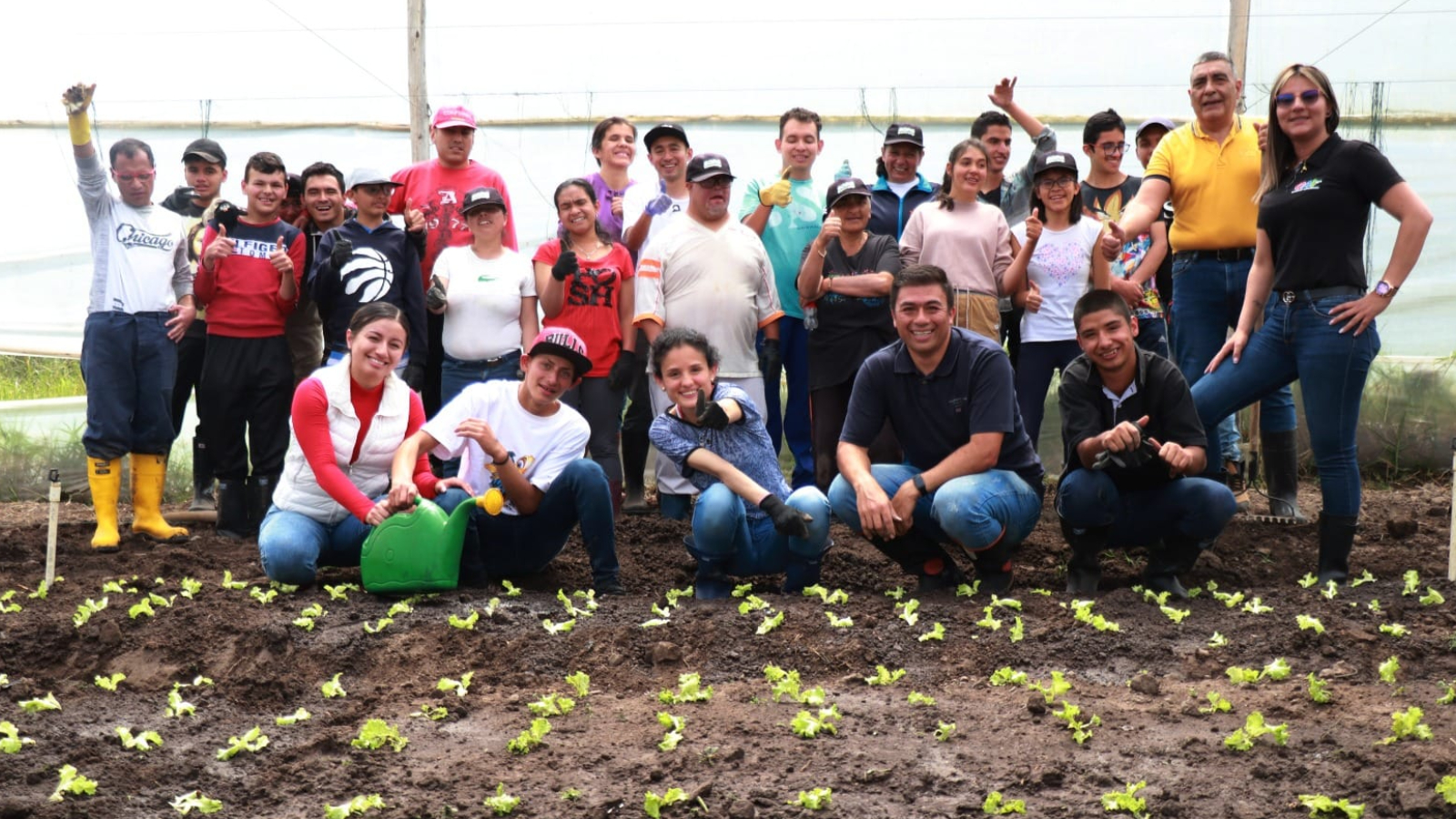Proyecto nuevo 5