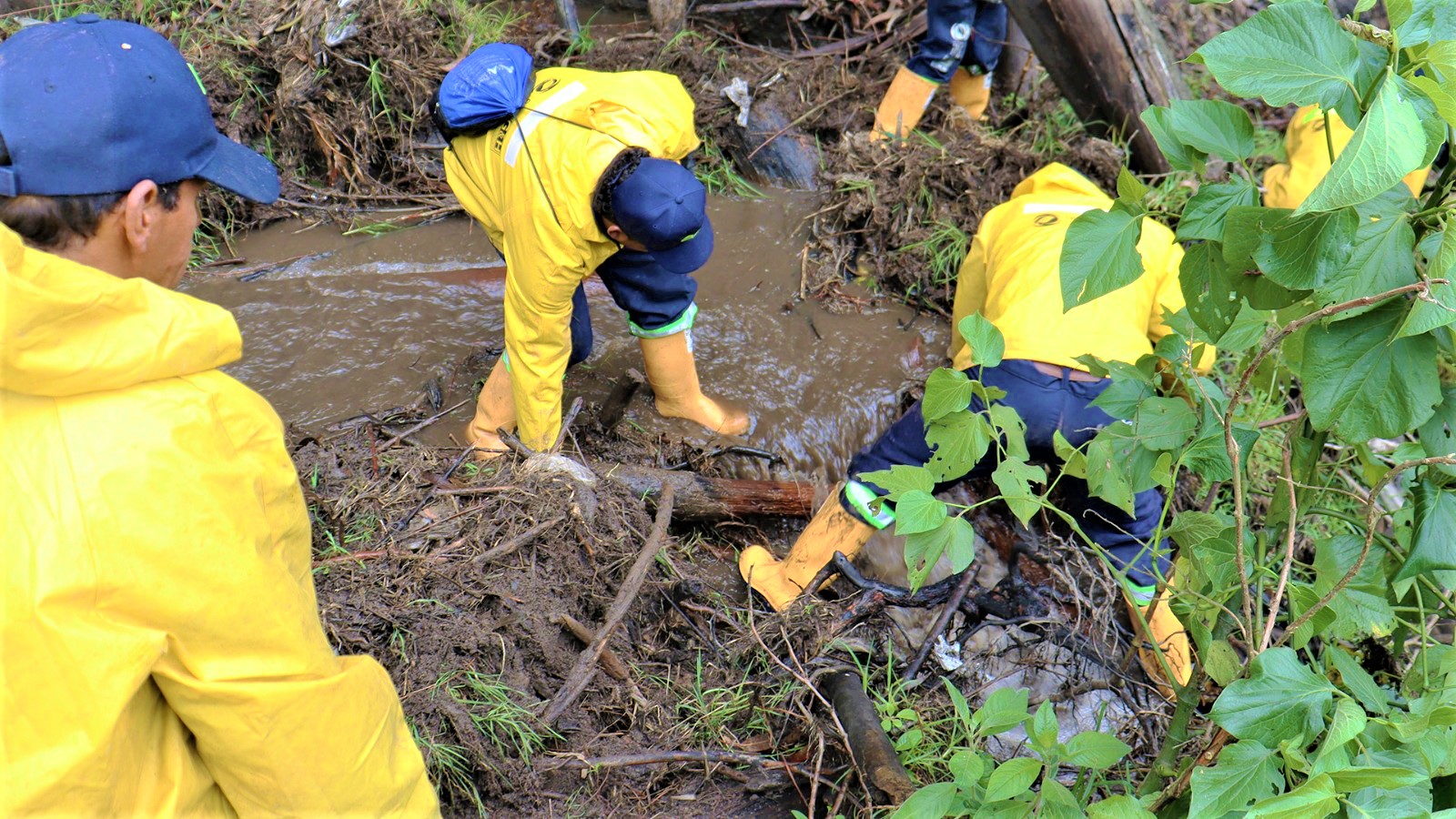 Se llevaron a cabo labores de limpieza en varias quebradas de Zipaquira1