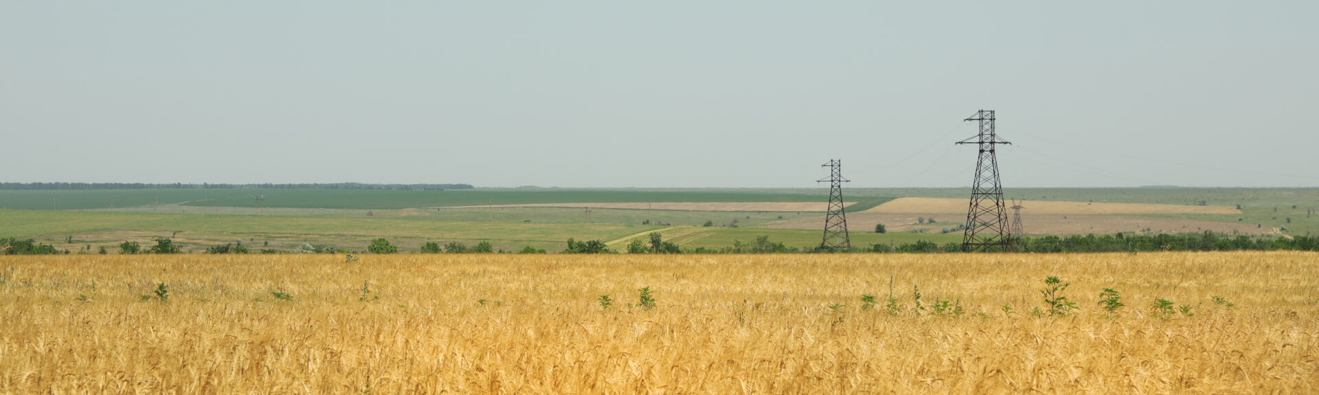 barley field agriculture and farming first summe 2021 09 02 21 44 13 utc