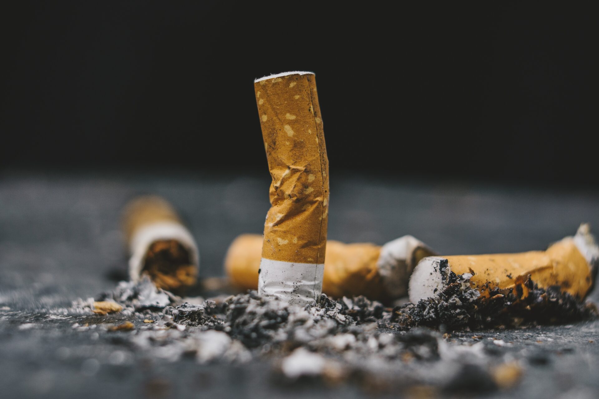 cigarette butt closeup cigarette and cigarette but 2022 11 02 18 04 09 utc