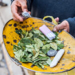 coca leaves in potosi 2021 08 26 22 29 41 utc