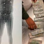dolares en boxer 41920500 20230312181244