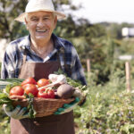 hombre mayor que trabaja campo caja verduras