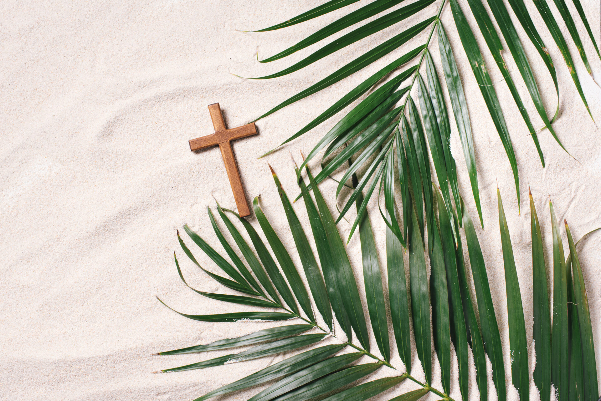 palm sunday concept cross made of palm and tropic 2021 09 01 16 17 29 utc
