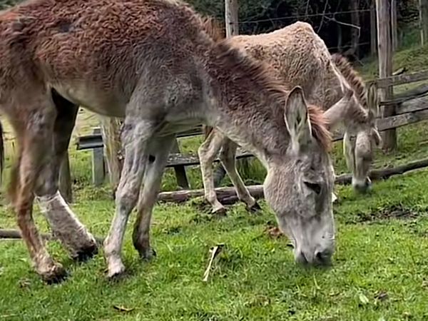 photo 2023 03 06 11 01 02