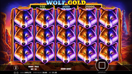 wolf