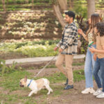 young family walking the dog in a park 2023 03 02 01 23 59 utc