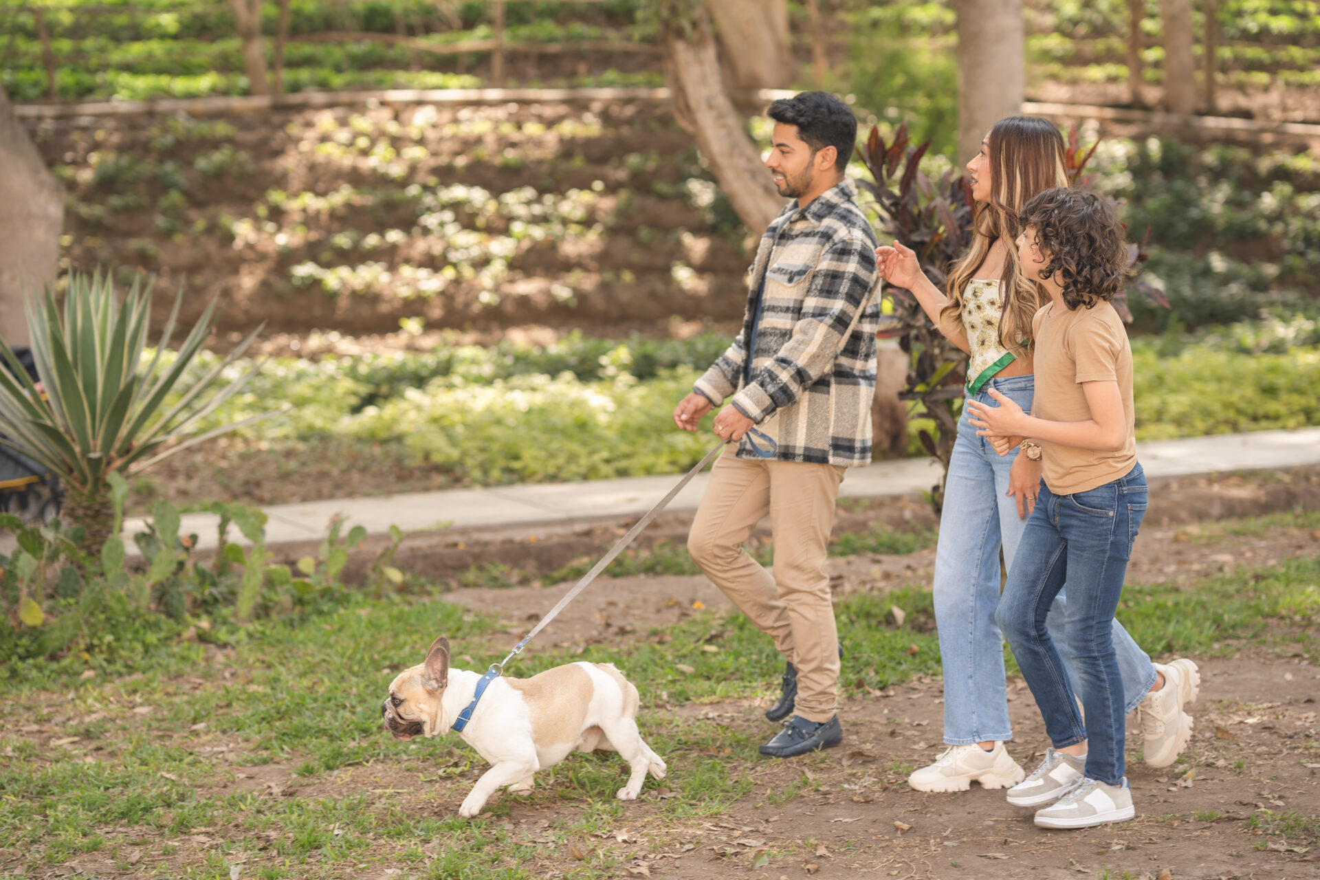 young family walking the dog in a park 2023 03 02 01 23 59 utc