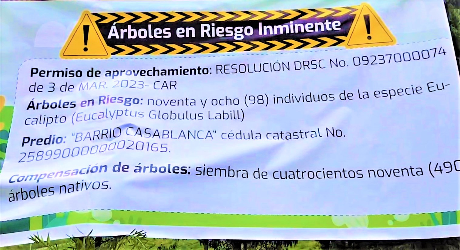 Comunidad de Casablanca Salinas Zipaquira se opone a tala de arboles en un bosque continuo