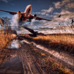 Depositphotos 165674122 L