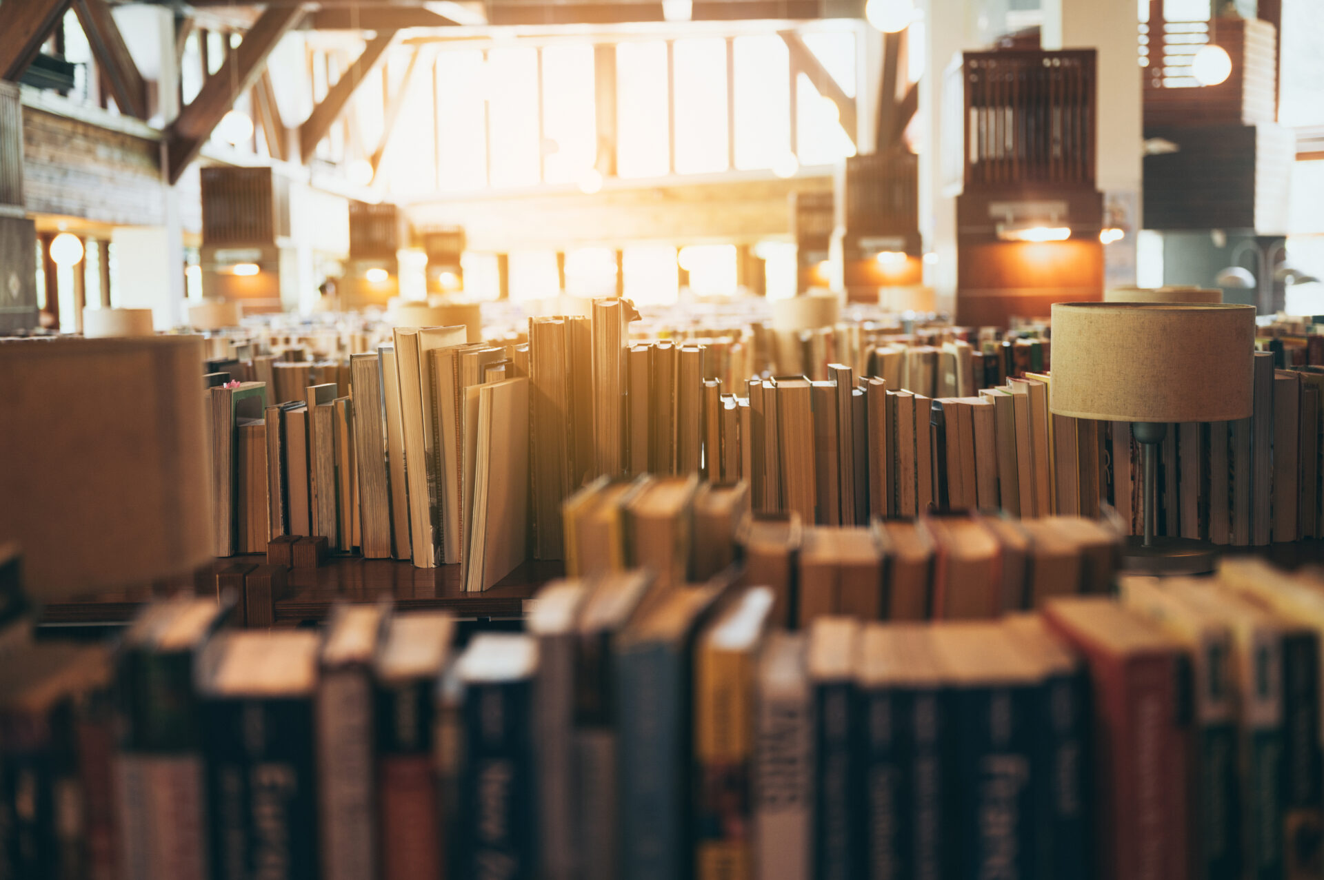 bookshelves in public libraries conceptual of edu 2022 12 16 02 48 56 utc