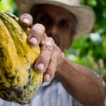 cocoa g7717e2f47 1920
