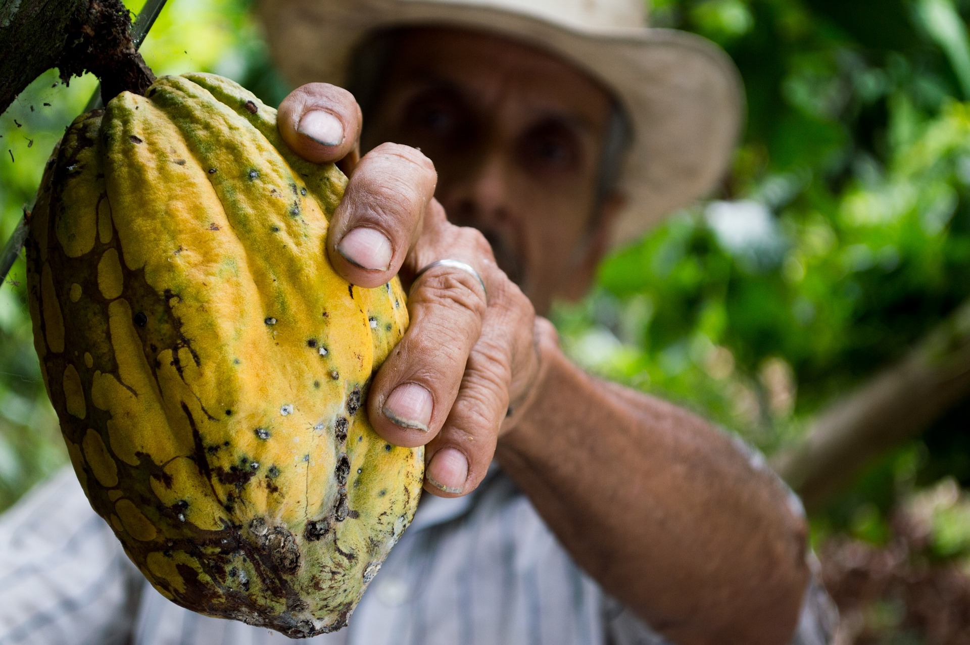 cocoa g7717e2f47 1920