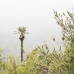 Depositphotos 360451348 L